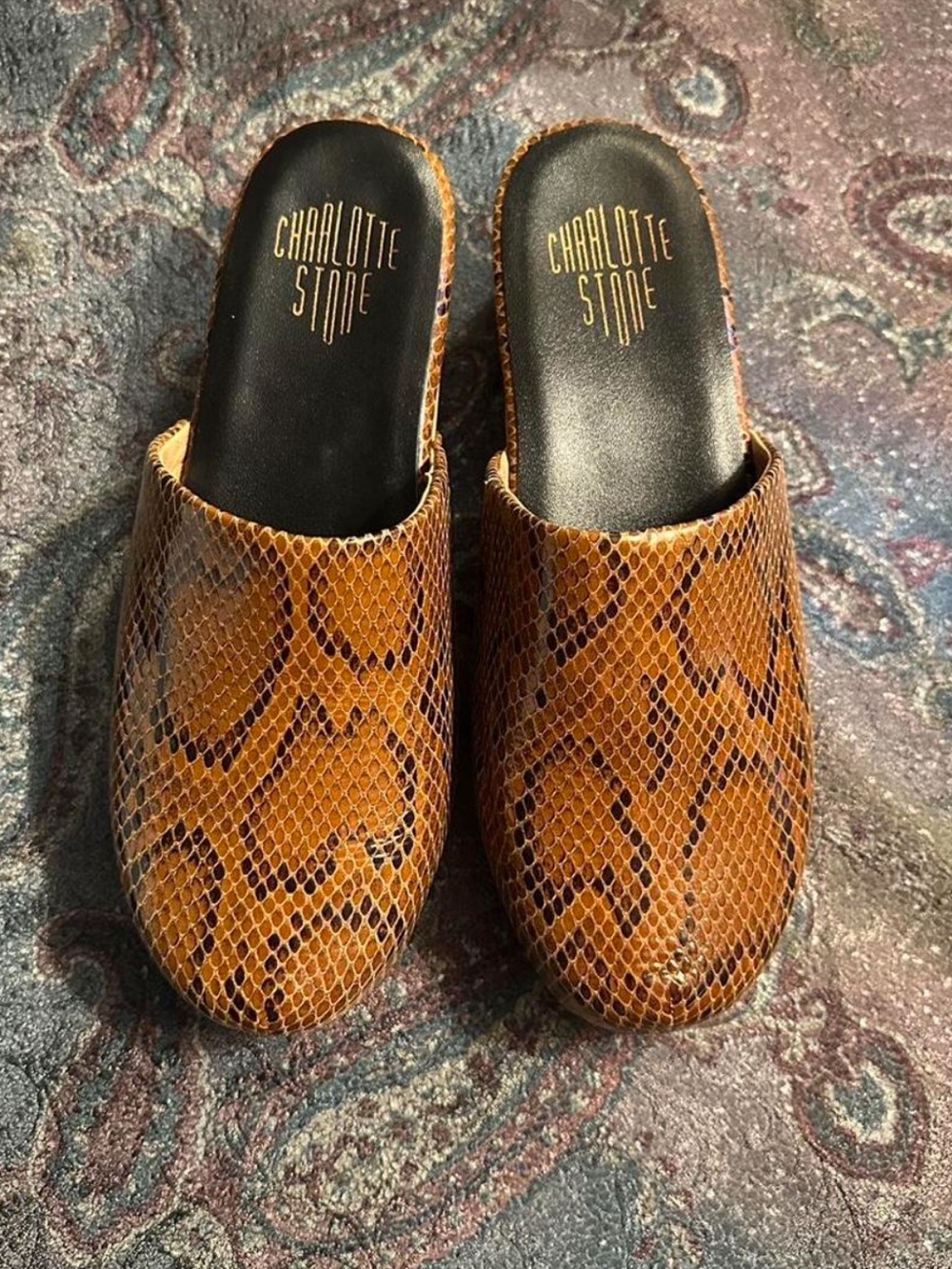 Charlotte Stone Python Print Clogs - Picture 1 of 4